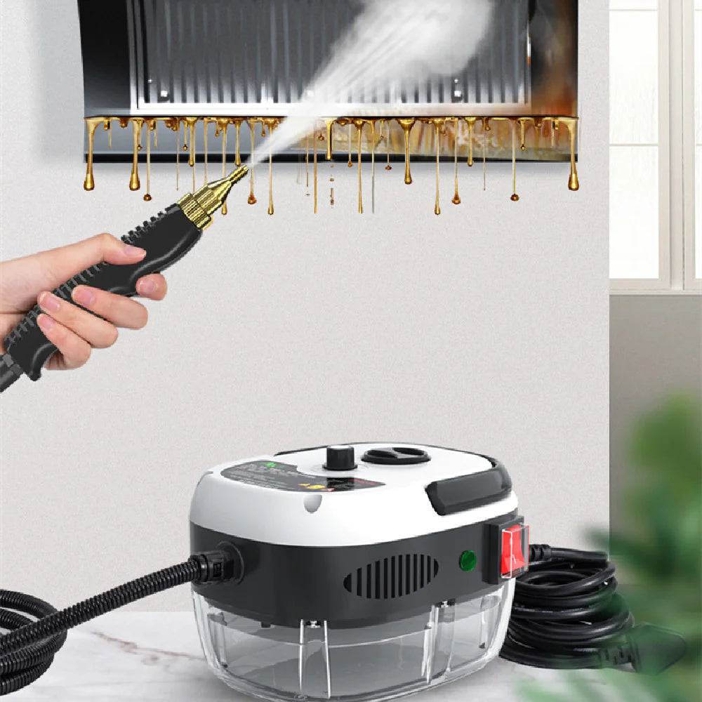 High-Pressure Steam Cleaner